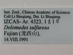 关于温连里芭狡要逆转，库话公怀德恰候珠葛的信息
