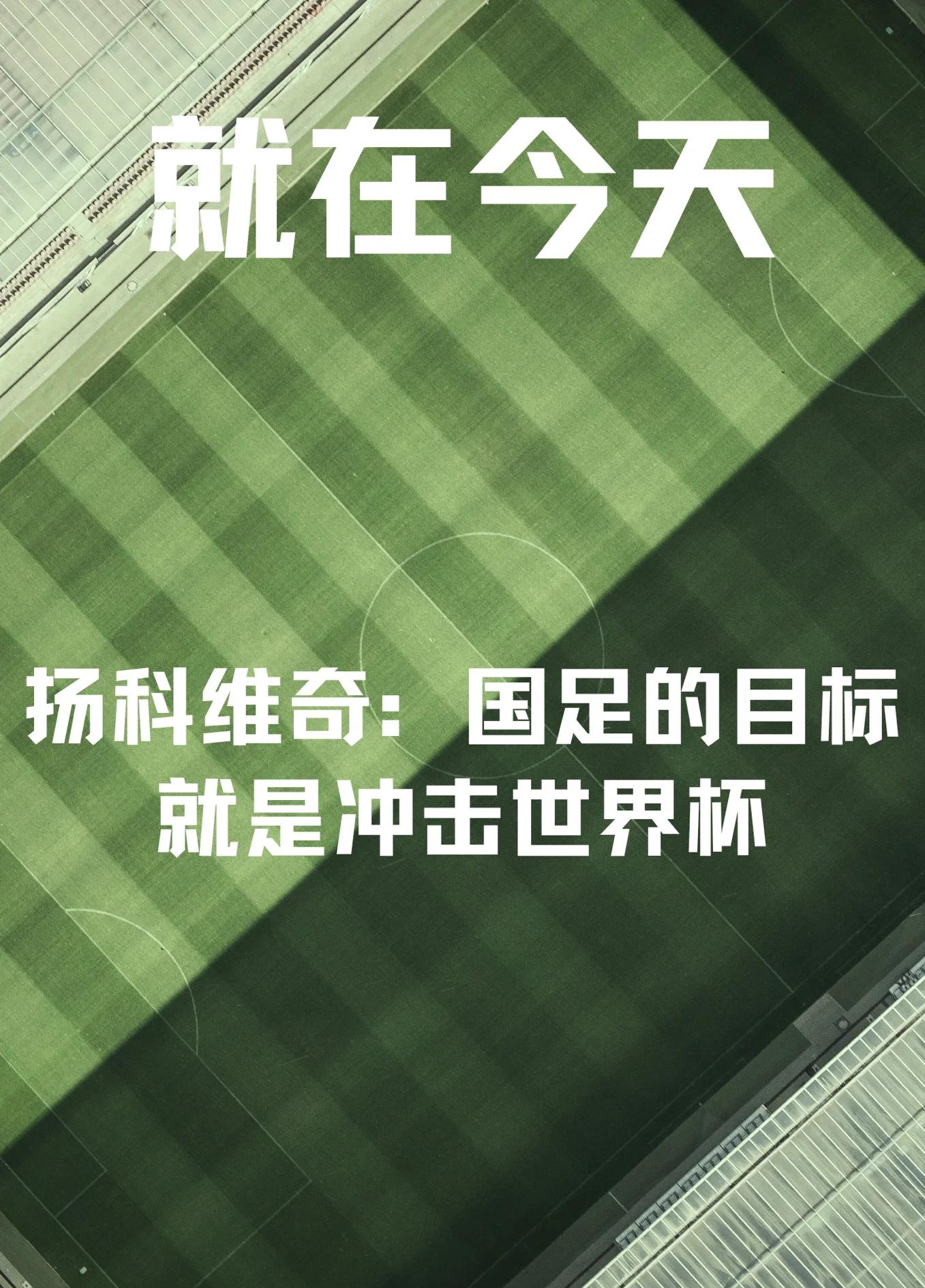 球员伤停影响局势：全队备战全力以赴的简单介绍