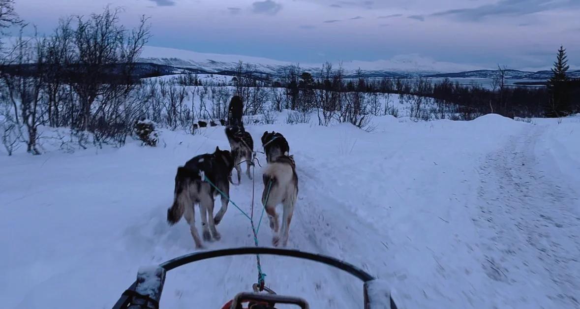 挪威雪橇选手独领风骚，保持领先
